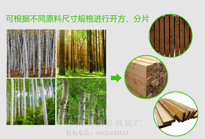 圓木多片鋸可根據(jù)不同原料尺寸規(guī)格進(jìn)行開(kāi)方、分片