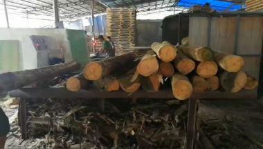 圓木多片鋸加工效率下降？多片鋸開機(jī)檢查3個(gè)地方